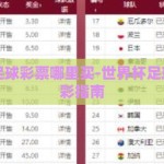世界杯足球彩票哪里买-世界杯足球彩票购彩指南