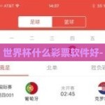世界杯什么彩票软件好-