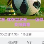 想赌世界杯-赌在世界杯——信仰与冒险的交织篇章