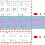 世界杯彩票投注多少钱-世界杯彩票投注的智慧，明智之举与风险平衡