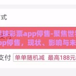 世界杯足球彩票app停售-聚焦世界杯足球彩票app停售，现状、影响与未来展望
