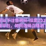 在哪里可以下注世界杯-探索2023世界杯下注最佳平台，如何选择正确的下注渠道