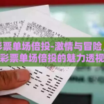世界杯彩票单场倍投-激情与冒险，世界杯彩票单场倍投的魅力透视