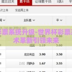世界杯彩票系统升级-世界杯彩票系统，技术革新引领未来