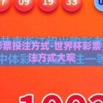 世界杯彩票投注方式-世界杯彩票，多样投注方式大观