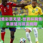 世界杯网售彩票无望-世界杯网售彩票，未来展望与现实局限