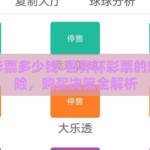 世界杯彩票多少钱-世界杯彩票的魅力与风险，购买决策全解析