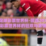 2018年足球彩票世界杯-回首2018，足球彩票世界杯的狂欢与激情