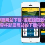 世界杯彩票网站下载-邂逅绿茵激情，探索世界杯彩票网站的下载与体验