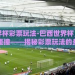 巴西世界杯彩票玩法-巴西世界杯，激情与幸运的碰撞——揭秘彩票玩法的多彩世界