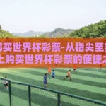 网上在哪买世界杯彩票-从指尖至赛场——网上购买世界杯彩票的便捷之旅