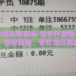 世界杯中奖彩票查询-世界杯激情与中奖梦，指尖轻触，查验幸运瞬间