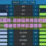 世界杯彩票赔-足球狂热背后的数字游戏，揭秘世界杯彩票赔率