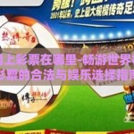 世界杯网上彩票在哪里-畅游世界杯，网上彩票的合法与娱乐选择指南