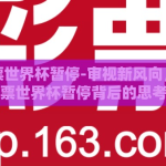 网易彩票世界杯暂停-审视新风向，网易彩票世界杯暂停背后的思考