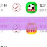 世界杯用哪个app买彩票-世界杯，律动与幸运的交汇——选对APP享购彩之乐