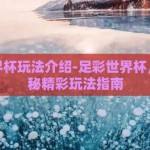 足彩世界杯玩法介绍-足彩世界杯，深度探秘精彩玩法指南