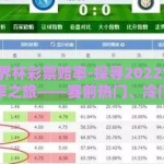 2022世界杯彩票赔率-探寻2022世界杯的彩票赔率之旅——赛前热门、冷门预测与球迷激情