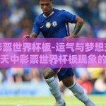 天天中彩票世界杯板-运气与梦想交汇，揭秘天天中彩票世界杯板现象的背后