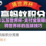 支付宝怎么压世界杯-支付宝策略指南，驰骋世界杯的压球技巧