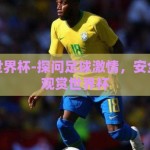 在哪赌世界杯-探问足球激情，安全合法地观赏世界杯