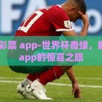 世界杯 彩票 app-世界杯奇缘，解锁彩票app的惊喜之旅