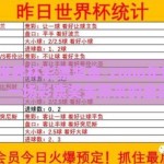2006年世界杯彩票奖金-2006年世界杯足球赛，一场彩票奖金带来的全民狂欢