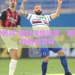 在哪赌世界杯-做好谨慎选择，明智地参与观看世界杯