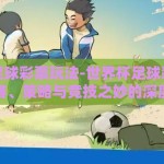 世界杯足球彩票玩法-世界杯足球彩票，解析球赛、策略与竞技之妙的深度分析