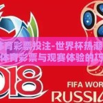 世界杯 体育彩票投注-世界杯热潮中的理性之选，体育彩票与观赛体验的巧妙融合