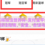 支付宝怎样投注世界杯-支付宝平台上的世界杯投注指南，安全、合法与技巧