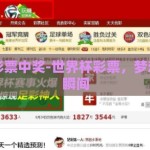 世界杯彩票中奖-世界杯彩票，梦想成真的瞬间