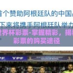 去哪买世界杯彩票-掌握精彩，揭秘世界杯彩票的购买途径