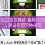 世界杯什么彩票软件好-世界杯观赛新体验，优选彩票软件指南