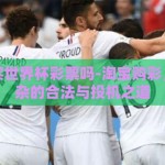 淘宝能买世界杯彩票吗-淘宝购彩，错综复杂的合法与投机之道