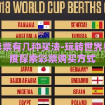 世界杯彩票有几种买法-玩转世界杯，多维度探索彩票购买方式