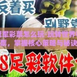 世界杯冠军彩票怎么玩-玩转世界杯冠军彩票，掌握核心策略与秘诀