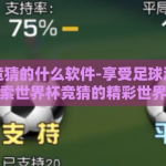 世界杯竞猜的什么软件-享受足球激情，探索世界杯竞猜的精彩世界