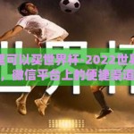 微信哪里可以买世界杯-2022世界杯购票指南，微信平台上的便捷渠道解析