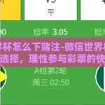 微信世界杯怎么下赌注-微信世界杯上的智慧选择，理性参与彩票的快乐