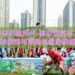 体彩世界杯彩票照片-体彩世界杯，解锁足球激情与慈善共促的瞬间