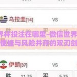 微信世界杯投注在哪里-微信世界杯投注，便捷与风险并存的双刃剑