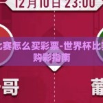 世界杯比赛怎么买彩票-世界杯比赛，理性购彩指南