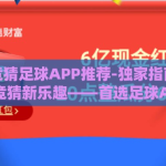 世界杯竞猜足球APP推荐-独家指南，解锁世界杯竞猜新乐趣——首选足球APP推荐
