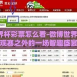 微博世界杯彩票怎么看-微博世界杯彩票，观赛之外的一场智趣盛宴
