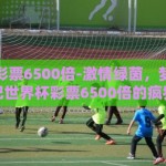 世界杯彩票6500倍-激情绿茵，梦想共舞——记世界杯彩票6500倍的疯狂一夜