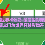 微信能买世界杯体彩-微信购彩新风尚，便捷之门为世界杯体彩敞开？