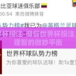 微信世界杯投注-微信世界杯投注，狂热与理智的微妙平衡