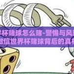 微信世界杯赌球怎么赌-警惕与风险，解密微信世界杯赌球背后的真相