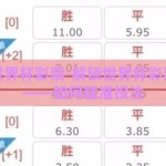 如何看世界杯彩票-解锁世界杯彩票的奥义——如何精准投注